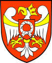 logo powiatu szamotulskiego